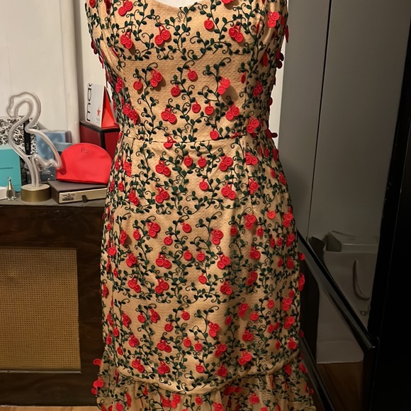 Dress the population 3D Cherry dress size L.  Dress is like a tan w/ green & red - Picture 7 of 10